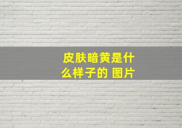 皮肤暗黄是什么样子的 图片